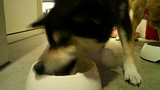 2012061718130000.jpg