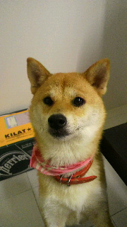 2012061719350000.jpg
