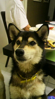 2012061719360000.jpg