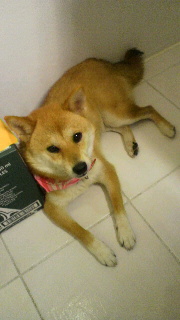 2012061807190001.jpg