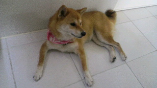 2012061807200000.jpg