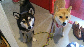 2012061807400000.jpg