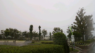 2012061917390000.jpg