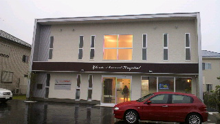 2012061918020000.jpg