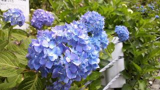 2012062315580000.jpg