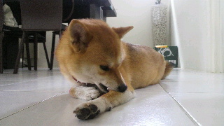 2012063010120001.jpg