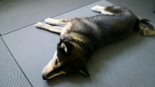 2012080519110000.jpg