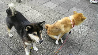 2012081207280000.jpg