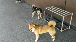 2012081221490000.jpg