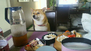 2012081410190000.jpg
