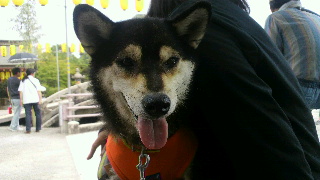 2012081410190001.jpg