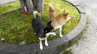 2012081414270001.jpg