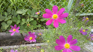 2012081618200000.jpg
