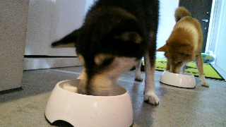 2012081618200001.jpg