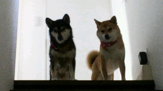 2012081810010000.jpg