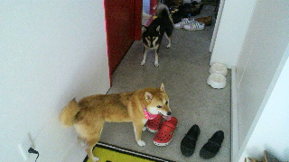 2012081810010001.jpg