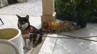 2012081810010002.jpg