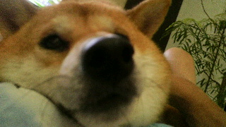 2012081810370000.jpg