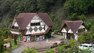 2012082006010000.jpg