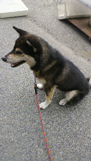 2012090214510000.jpg