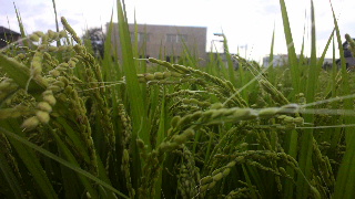 2012090307070000.jpg