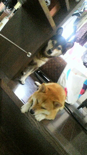 2012090307070001.jpg