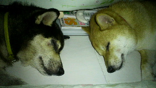 2012090606220000.jpg