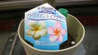 2012090607410001.jpg
