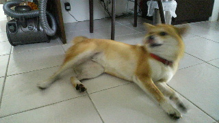 2012090607420000.jpg