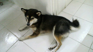 2012090607420001.jpg