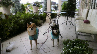 2012090808450000.jpg