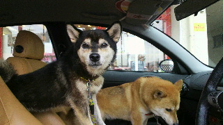 2012090810140000.jpg