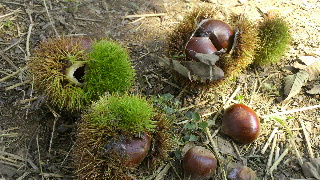 2012091410530001.jpg