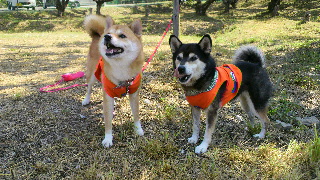 2012091410530002.jpg