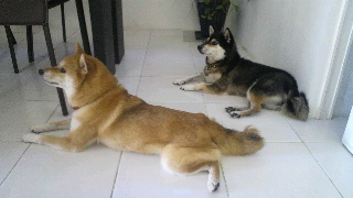 2012091709470000.jpg