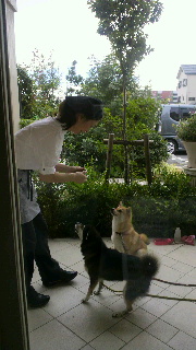 2012092920450000.jpg