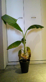 2012100201480000.jpg