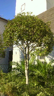 2012100407190000.jpg