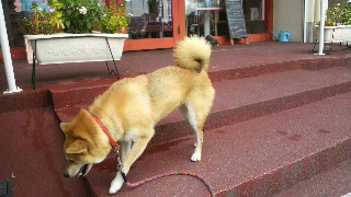 2012100407190001.jpg