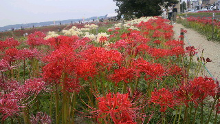 2012100618570001.jpg