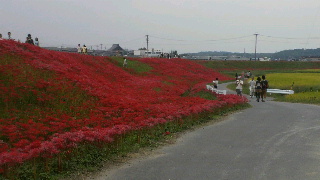 2012100618580000.jpg