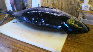 2012100710020000.jpg