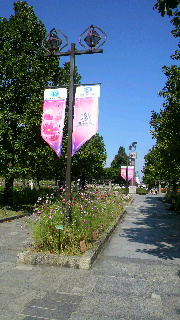 2012100710530000.jpg