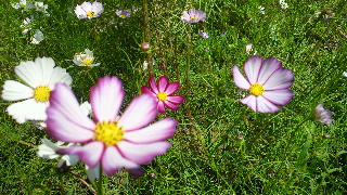 2012100710530001.jpg