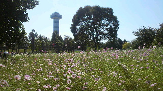2012100710530002.jpg