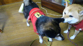 2012100712080000.jpg