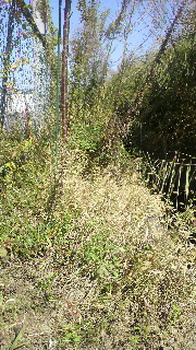 2012100811440000.jpg