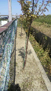 2012100811440001.jpg