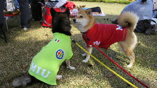 2012101605520000.jpg