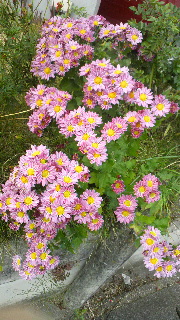 2012110407100000.jpg